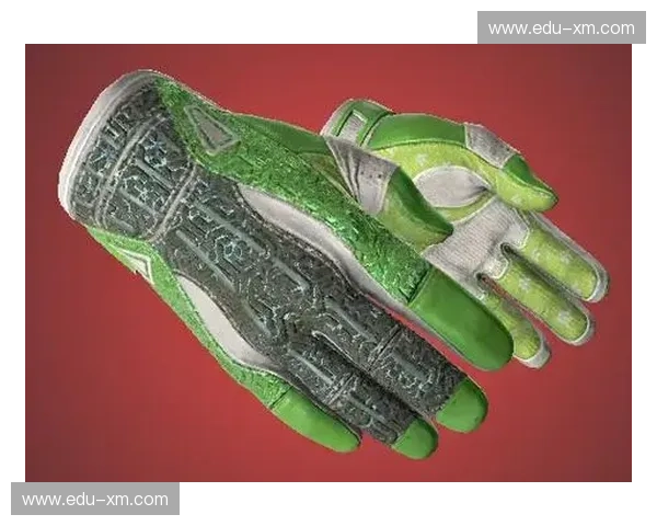 盘点围绕CSGO第一队荣耀崛起与战术革新的传奇征途精彩篇章录